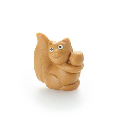 Eichhörnchen